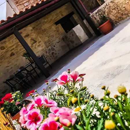 Antonia's Village * Alfa